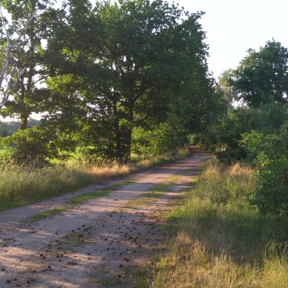 guester_spaziergang